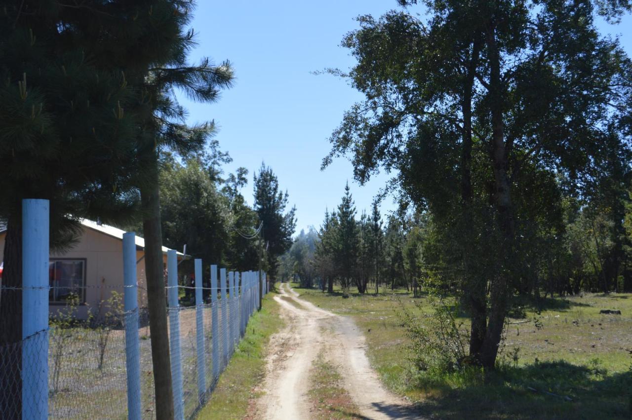 Coyunche Cabanas Y Camping Laja & San Rosendo Eksteriør billede