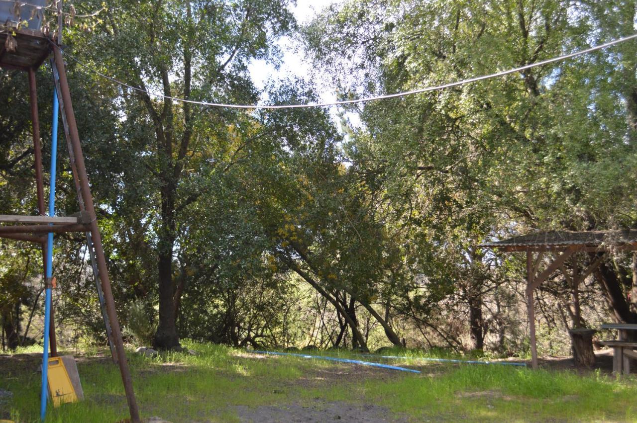Coyunche Cabanas Y Camping Laja & San Rosendo Eksteriør billede