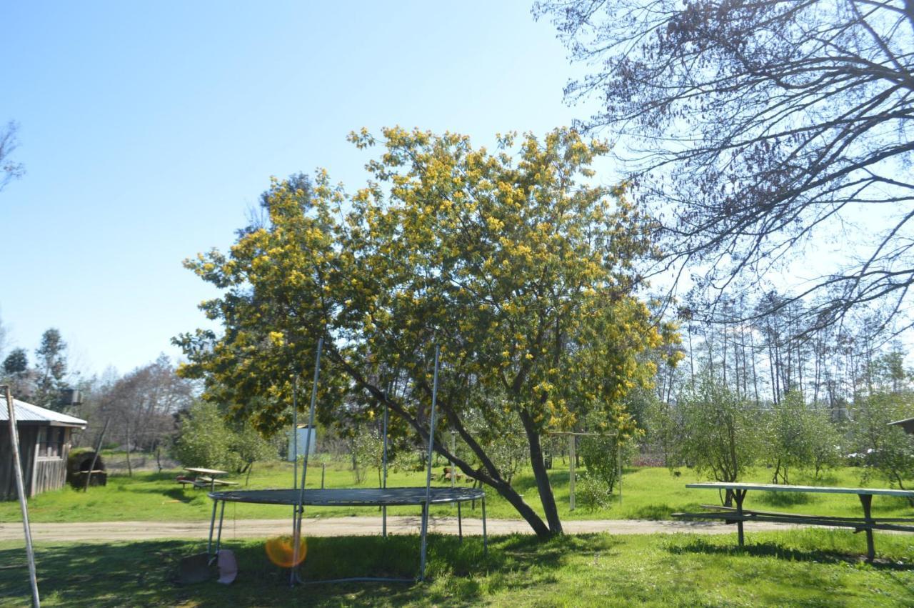 Coyunche Cabanas Y Camping Laja & San Rosendo Eksteriør billede