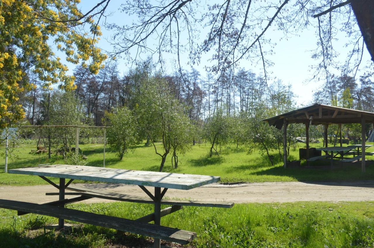 Coyunche Cabanas Y Camping Laja & San Rosendo Eksteriør billede