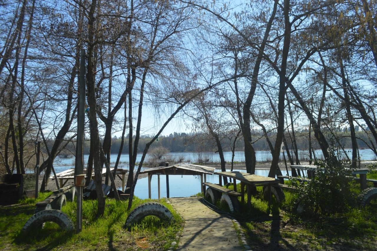 Coyunche Cabanas Y Camping Laja & San Rosendo Eksteriør billede