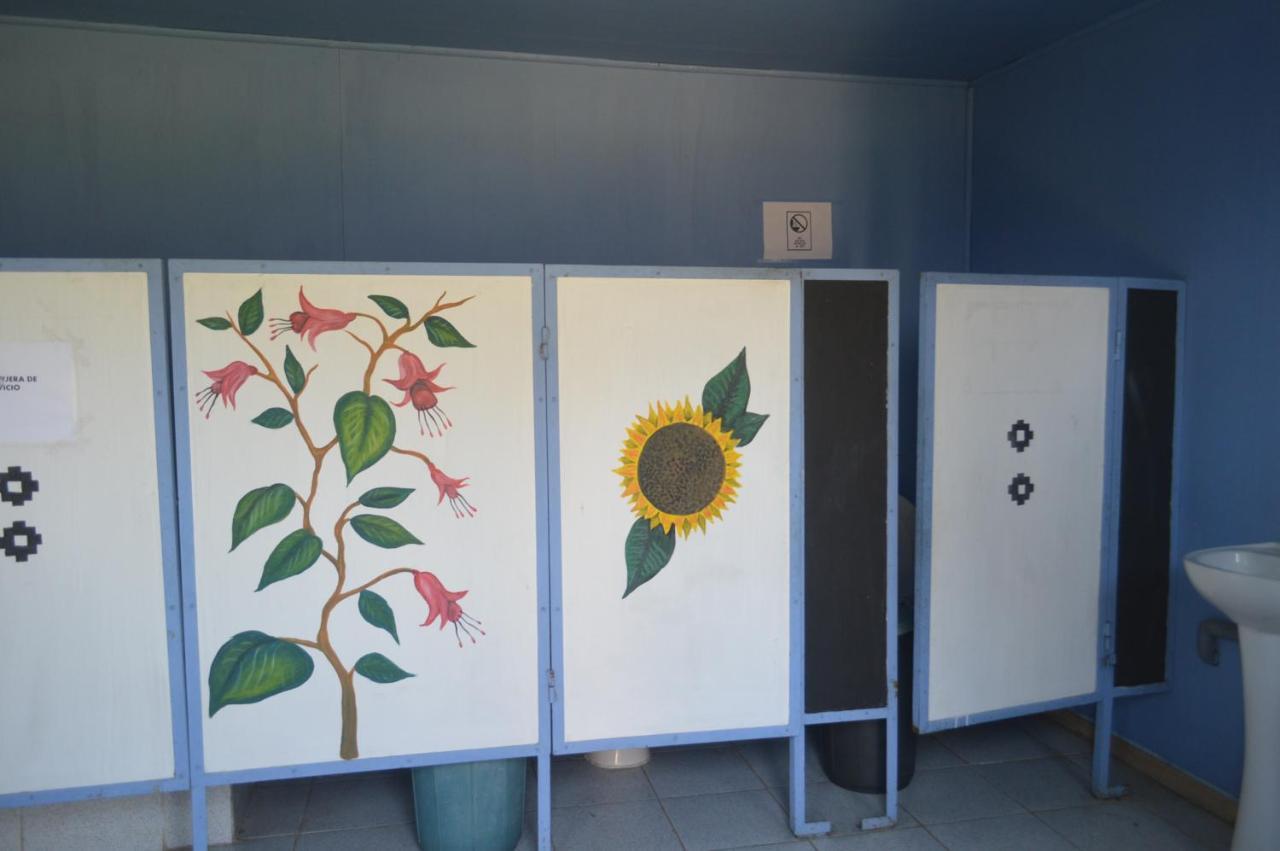 Coyunche Cabanas Y Camping Laja & San Rosendo Eksteriør billede