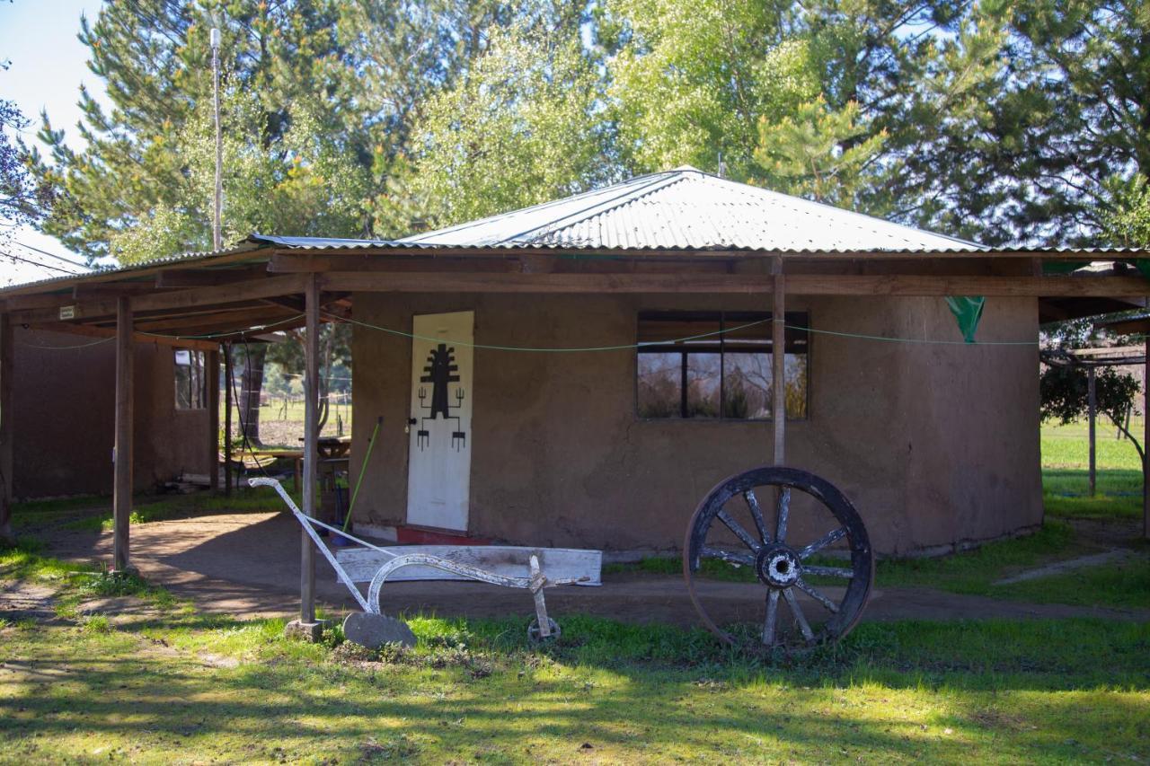 Coyunche Cabanas Y Camping Laja & San Rosendo Eksteriør billede