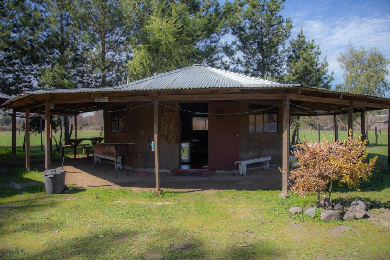 Coyunche Cabanas Y Camping Laja & San Rosendo Eksteriør billede