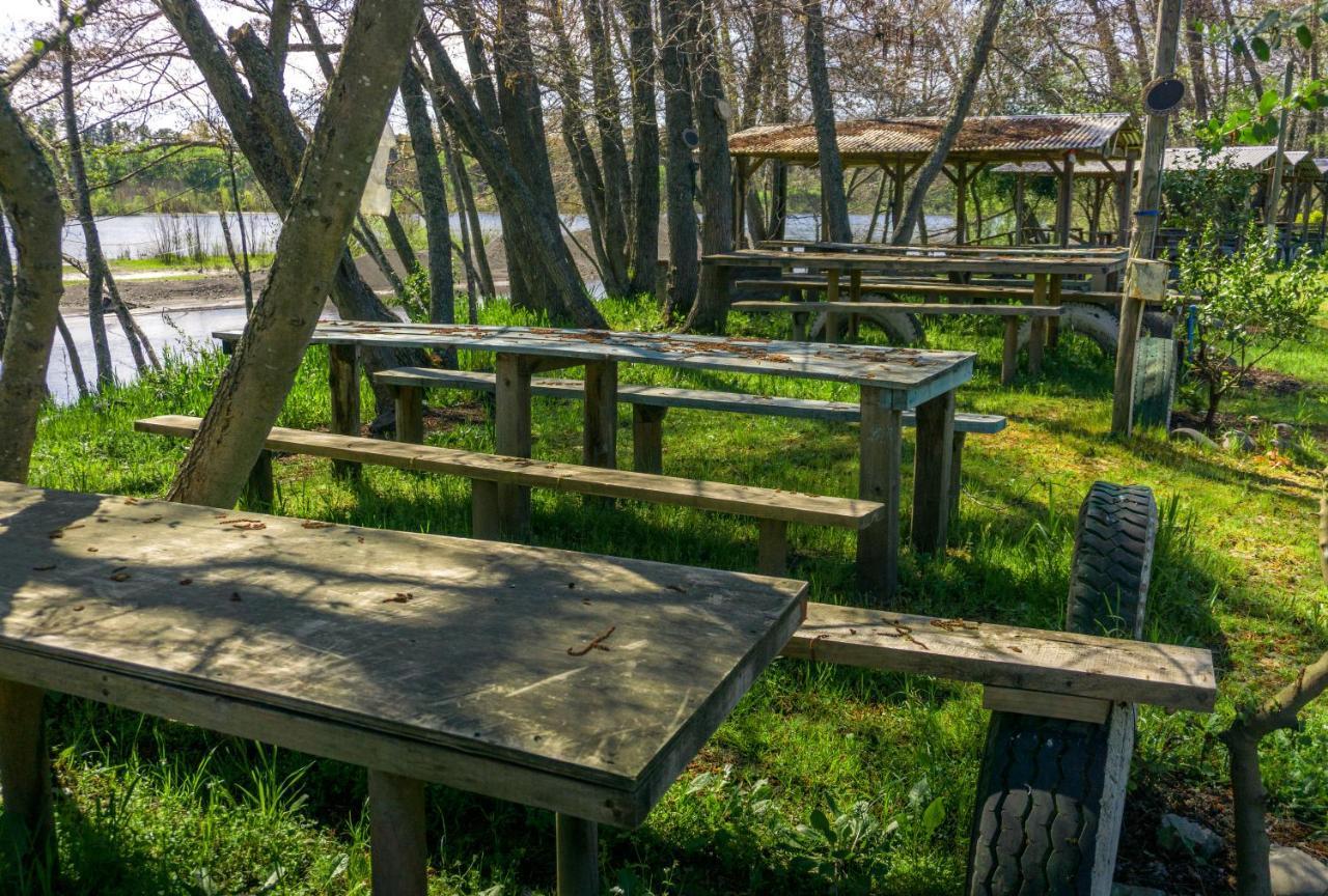 Coyunche Cabanas Y Camping Laja & San Rosendo Eksteriør billede