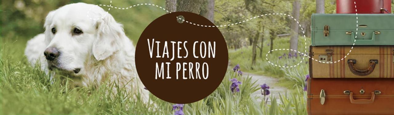 Coyunche Cabanas Y Camping Laja & San Rosendo Eksteriør billede