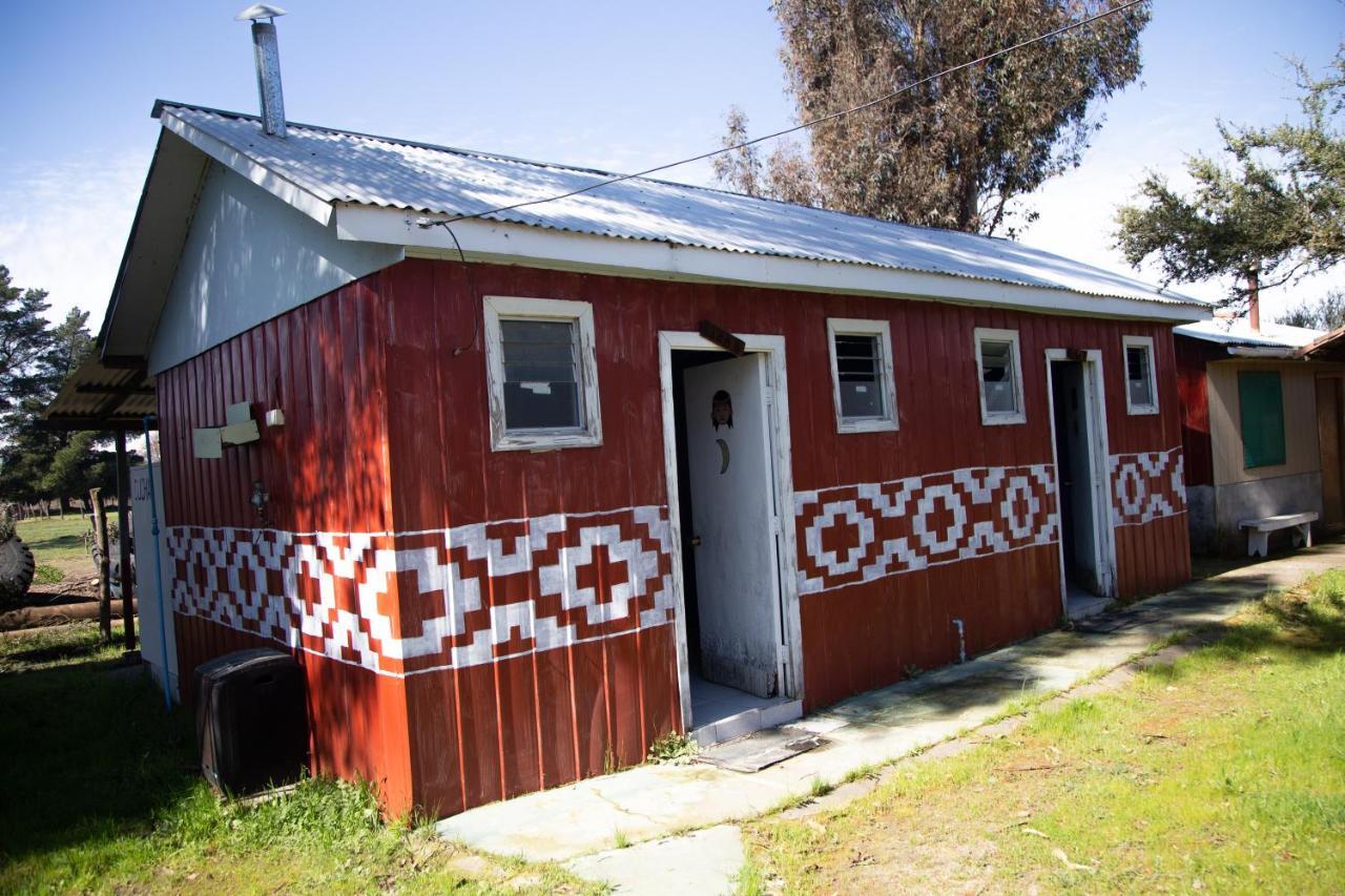 Coyunche Cabanas Y Camping Laja & San Rosendo Eksteriør billede